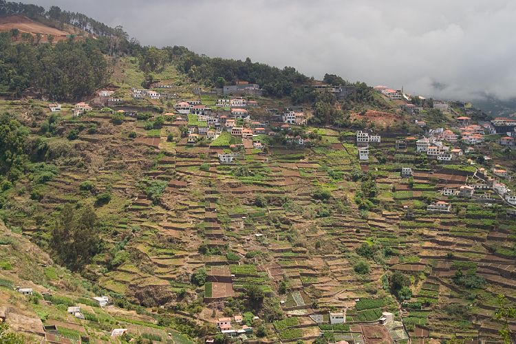 Cabo Girao (Madeira - Cabo Girao)