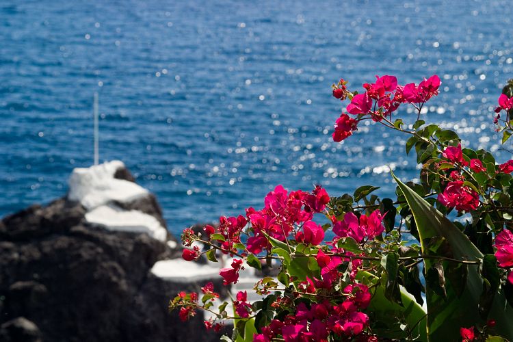 Meeresschwimmbecken (Madeira - Cabo Girao)