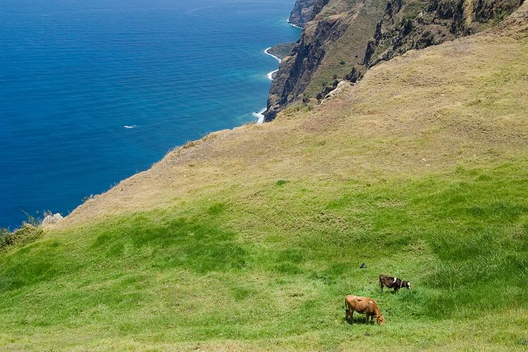 Nostra Senhora da Boa Morte (Madeira - Westkste)
