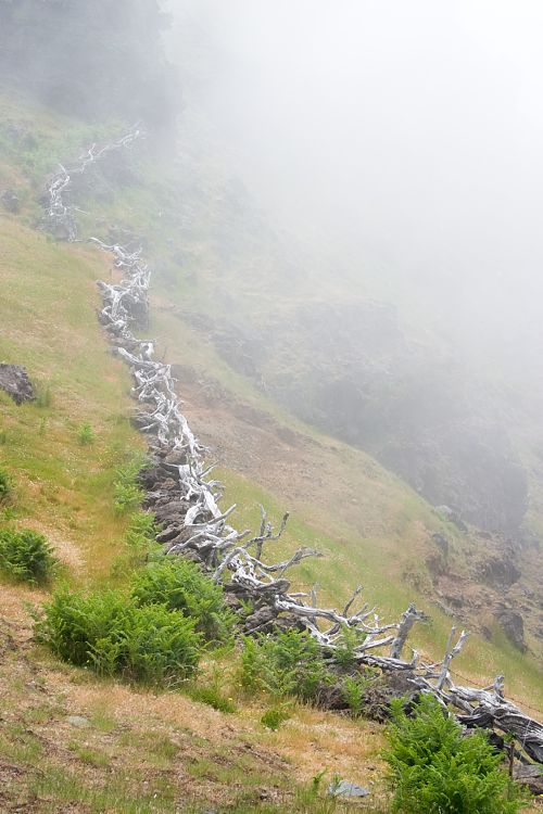 Pico Ruivo (Madeira - Pico Ruivo)