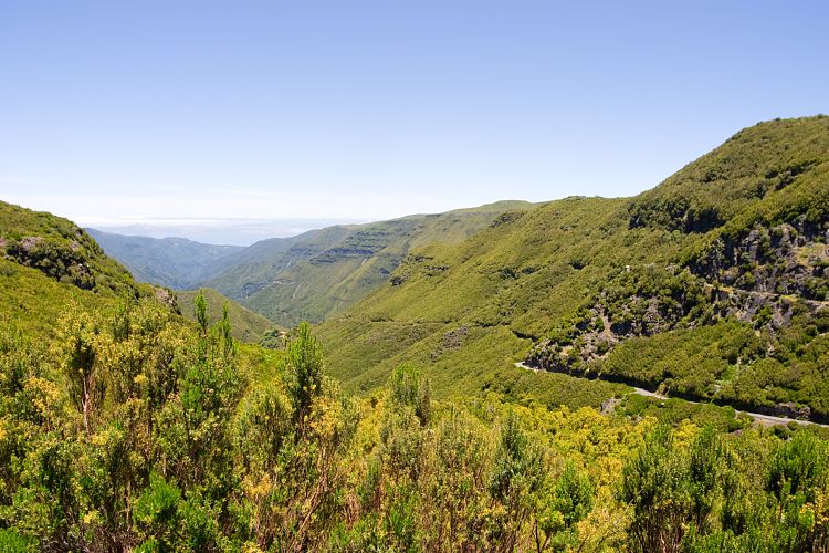 Rabacal - 25 Quellen - Risco (Madeira - Rabacal)