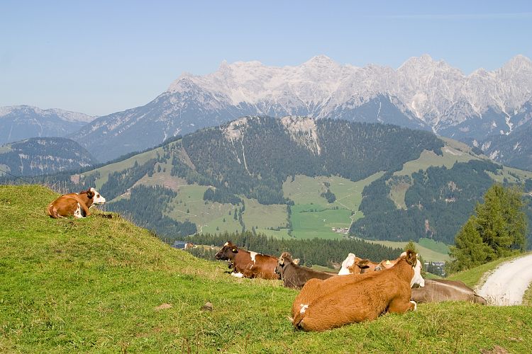 Jgersteig (Pillerseetal - Wanderung)