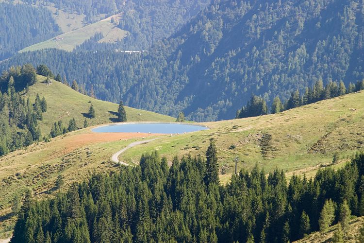Wildseelodersee - Lrchfilzhochalm (Pillerseetal - Wanderung)