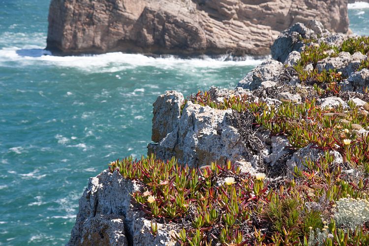 Cabo de So Vicente (Portugal - Tag 11)