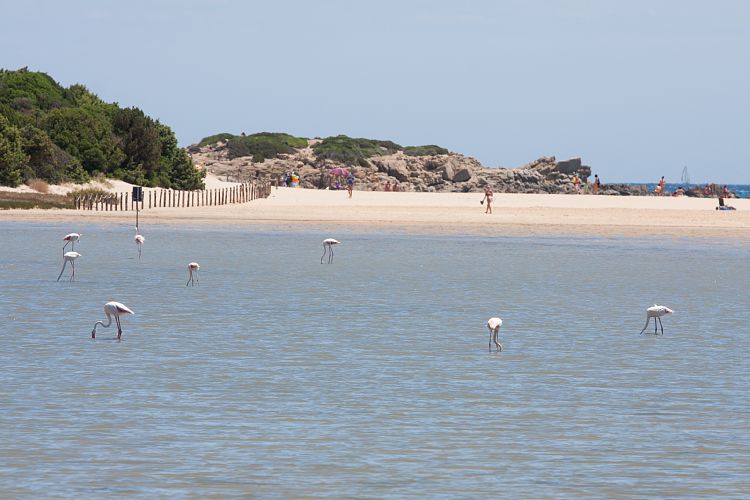 Spiaggia di Su Gideu (Sardinien - Sdkste)