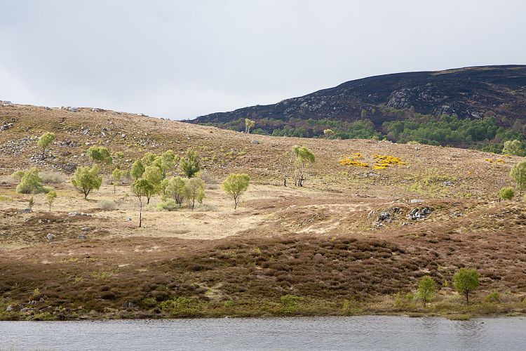 A833 (Schottland - Laide - Inverness)