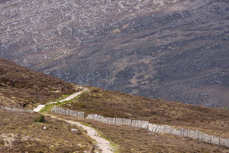 Cairn Gorm Mountain (Schottland - Cairngorm Mountains)