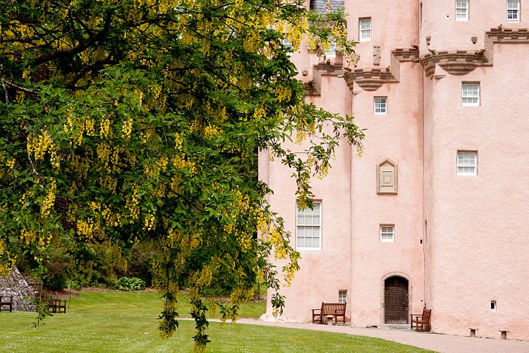 Craigievar Castle (Schottland - Kemnay - Perth)