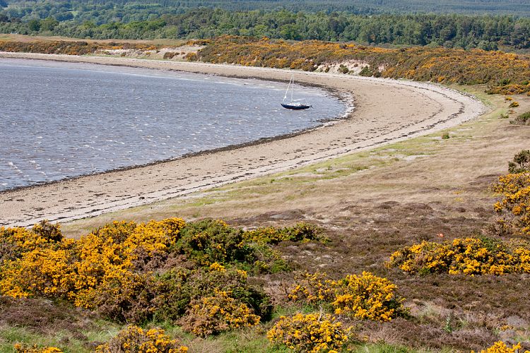 Dornoch Firth (Schottland - Laide - Inverness)