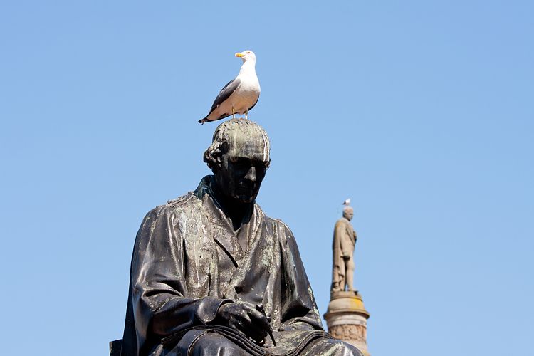 Glasgow George Square (Schottland - Lesmahagow - Edinburgh)