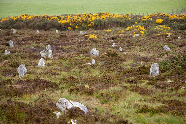 Schottland 2011 - Hill of Many Stanes