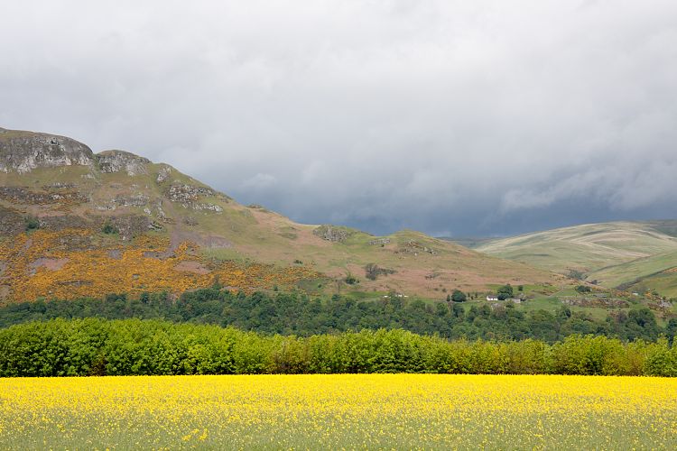 Ochil Hills (Schottland - Edinburgh - Stirling)