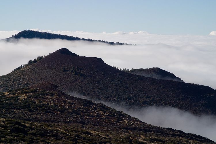 Beim Observatorium (Teneriffa - Der Nordwesten)