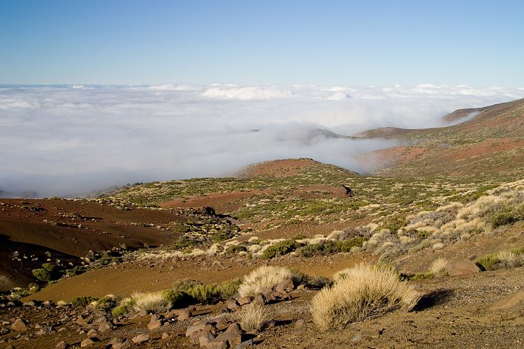 Beim Observatorium (Teneriffa - Der Nordwesten)