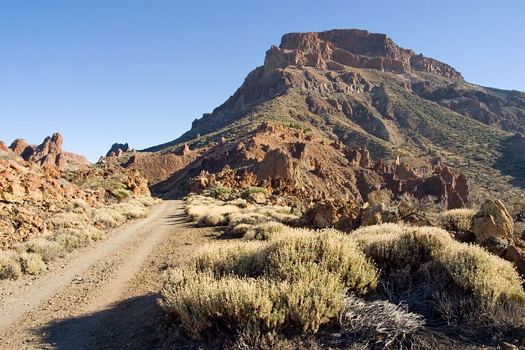 Weg Canadas (Teneriffa - Guajara)