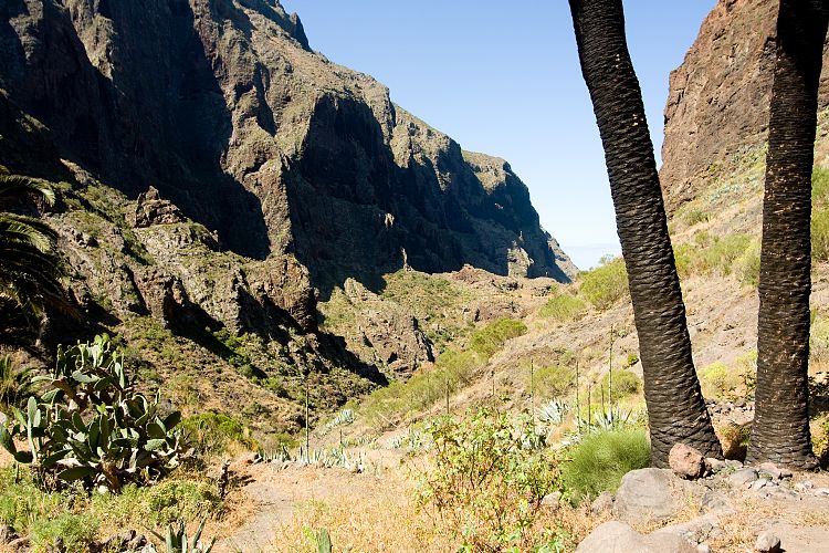 Barranco de Masca (Teneriffa - Barranco de Masca)