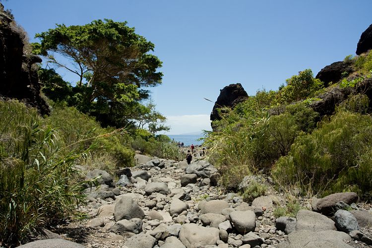 Barranco de Masca (Teneriffa - Barranco de Masca)