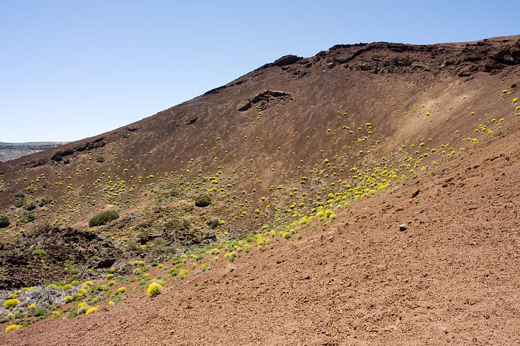Bei El Portillo (Teneriffa - Canadas del Teide)