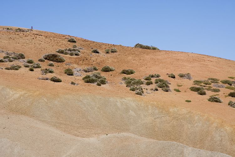 Beim Parador (Teneriffa - Canadas del Teide)