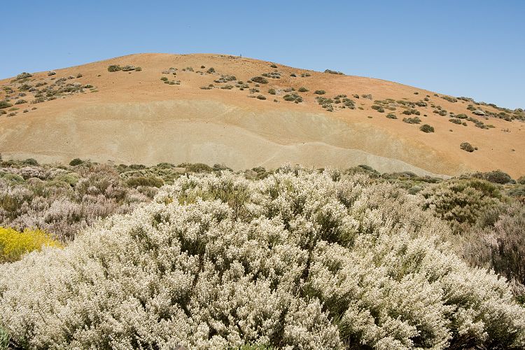 Beim Parador (Teneriffa - Canadas del Teide)