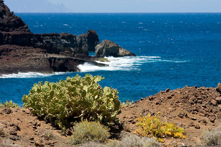 Faro de Teno (Teneriffa - Faro de Teno)
