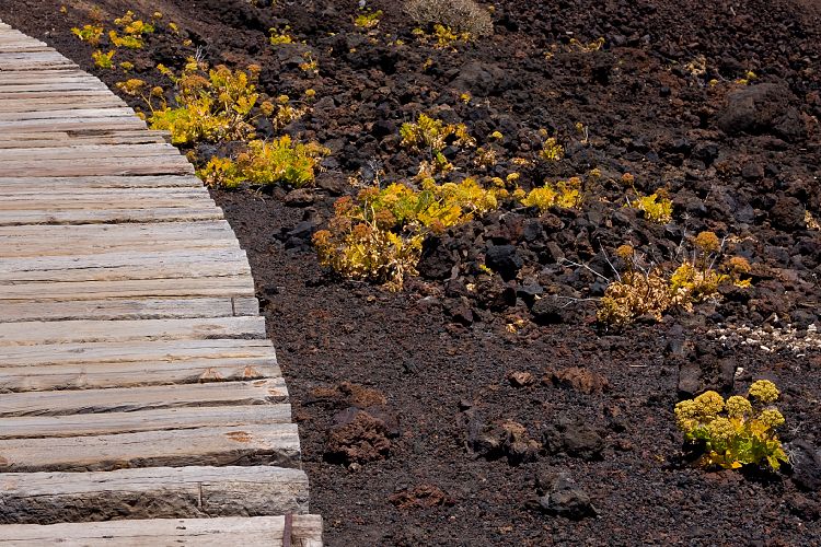 Faro de Teno (Teneriffa - Faro de Teno)