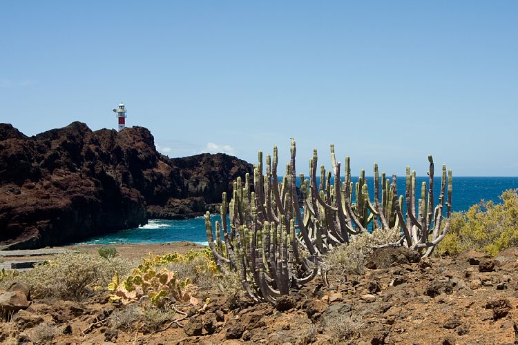 Teneriffa 2009 - Faro de Teno