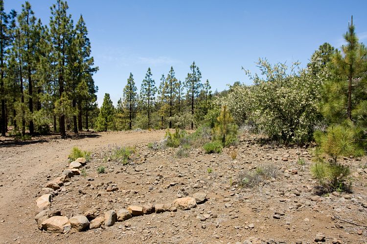 Wanderung zur Mondlandschaft (Teneriffa - Mondlandschaft)