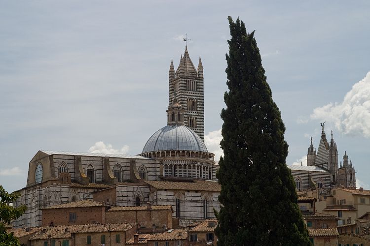 Siena (Toskana - Siena & Volterra)