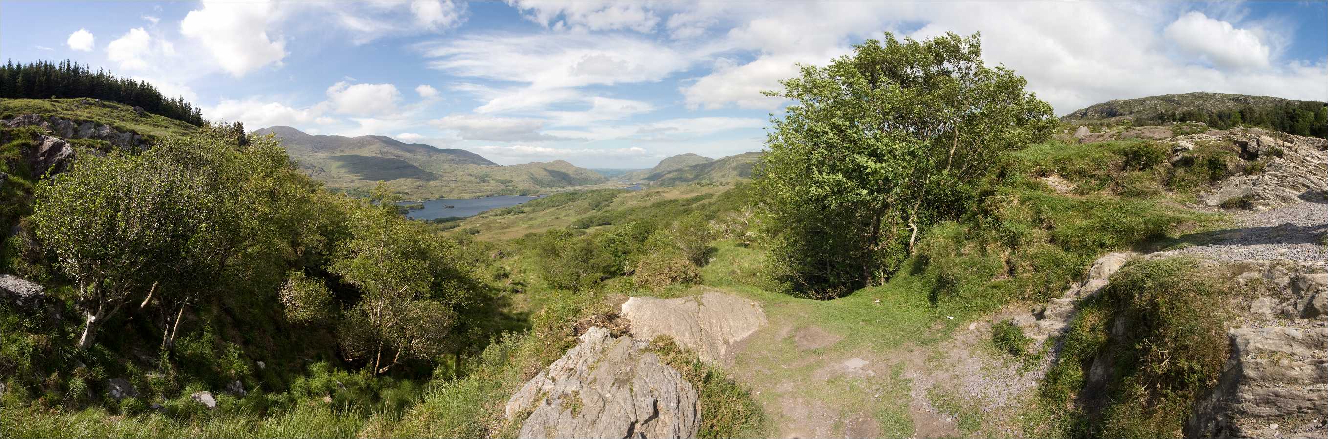 Panorama >> Irland - Kilkenny National Park